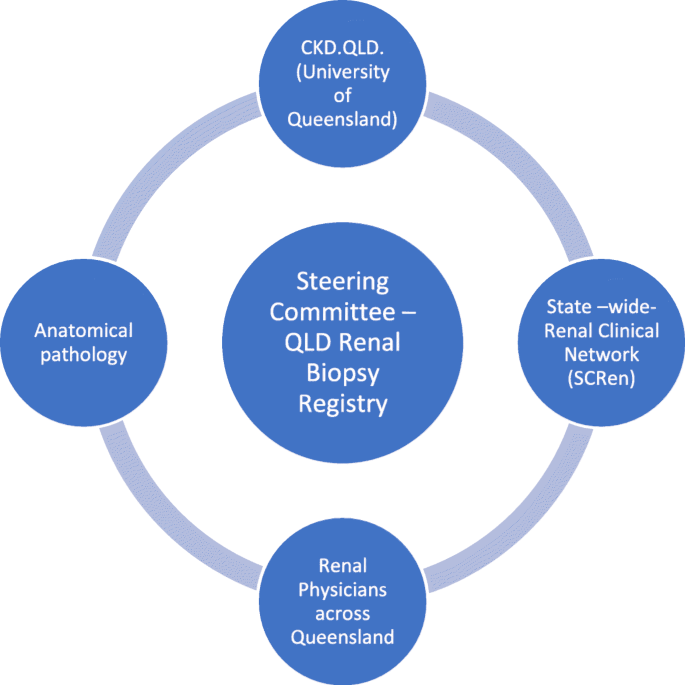 Protocol And Establishment Of A Queensland Renal Biopsy Registry In Australia Springerlink