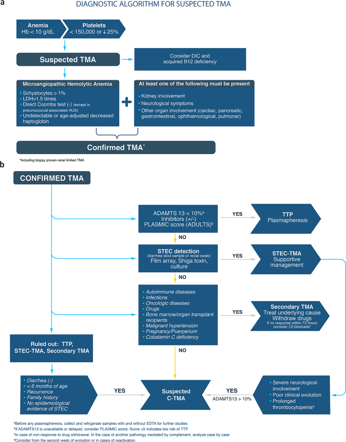 Diagnosis and treatment of complement-mediated thrombotic ...