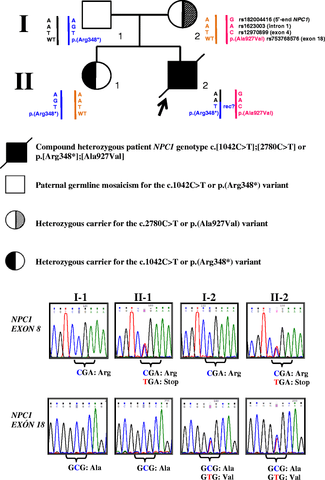 Niemann-Pick disease type-B: a unique case report with compound