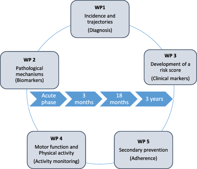 Figure 1 from the article