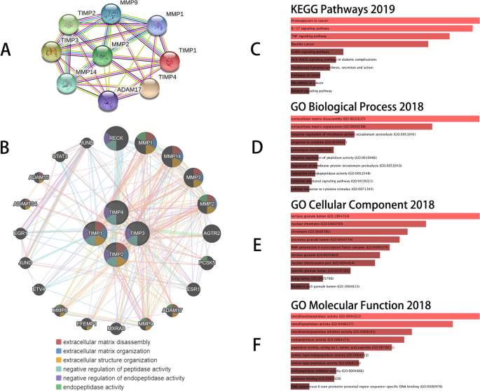 Comprehensive analysis of expression, prognosis and immune infiltration for  TIMPs in glioblastoma | BMC Neurology | Full Text