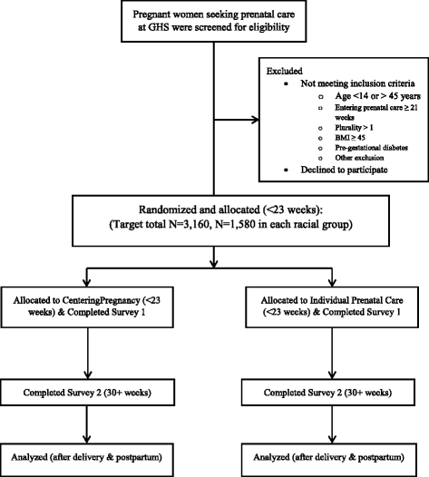 Centering And Racial Disparities Cradle Study Rationale And Design Of A Randomized Controlled Trial Of Centeringpregnancy And Birth Outcomes Springerlink