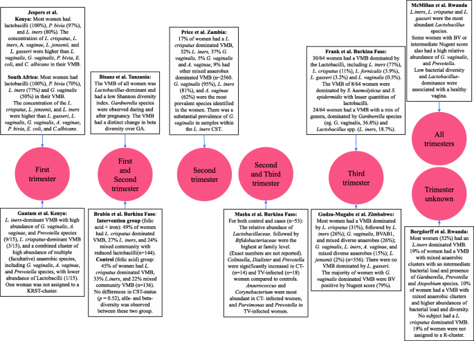 Composition Of The Vaginal Microbiota During Pregnancy In Women Living In Sub Saharan Africa A Prisma Compliant Review Bmc Pregnancy And Childbirth Full Text Composition Of The Vaginal Microbiota During Pregnancy In Women Living In Sub Saharan Africa A Prisma Compliant Review Bmc Pregnancy And Childbirth Full Text