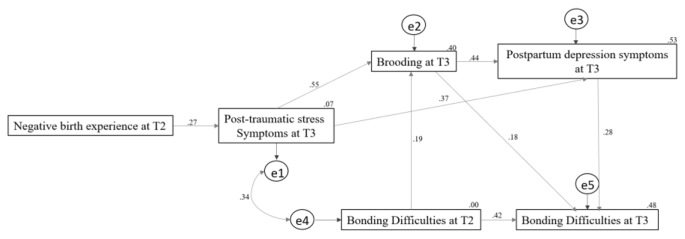 examples of longitudinal research questions figure 4