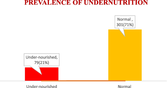 Prevalence of undernutrition and associated factors among adolescent pregnant women in Dolo-Ado town, Somali region, Ethiopia – BMC Pregnancy and Childbirth