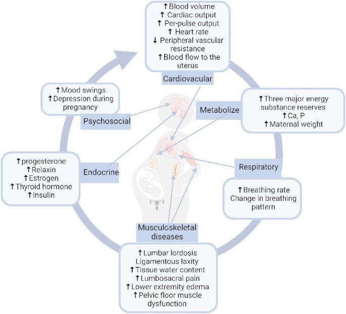 Effects of exercise during pregnancy on maternal and newborn outcomes ...
