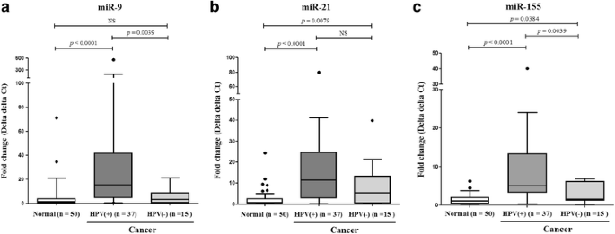 Pcr hpv ember