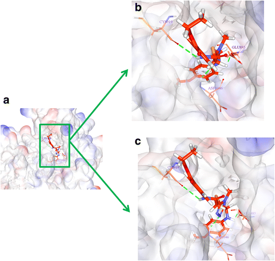 figure 15