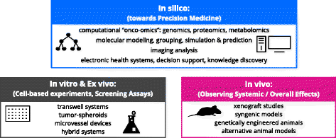 In silico cancer research towards 3R | BMC Cancer | Full Text