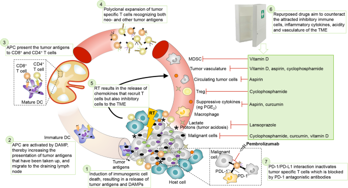 Primmo Study Protocol A Phase Ii Study Combining Pd 1 Blockade Radiation And Immunomodulation To Tackle Cervical And Uterine Cancer Bmc Cancer Full Text