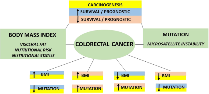 Impact of genetic mutations and nutritional status on the survival of  patients with colorectal cancer | BMC Cancer | Full Text