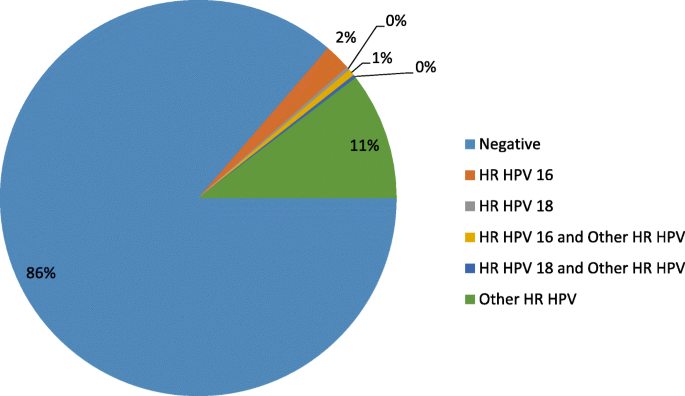 Hpv high risk other than 16 18 Archive issue | RJME