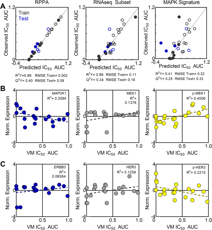 Tumor Cell Sensitivity To Vemurafenib Can Be Predicted From Protein Expression In A Braf V600e Basket Trial Setting Bmc Cancer Full Text
