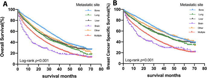 metastatic cancer cure rate)