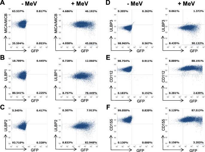 Biological Treatment Of Pediatric Sarcomas By Combined Virotherapy And Nk Cell Therapy Bmc Cancer Full Text
