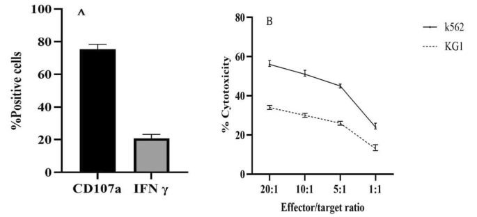 case study for grade 3 figure 1