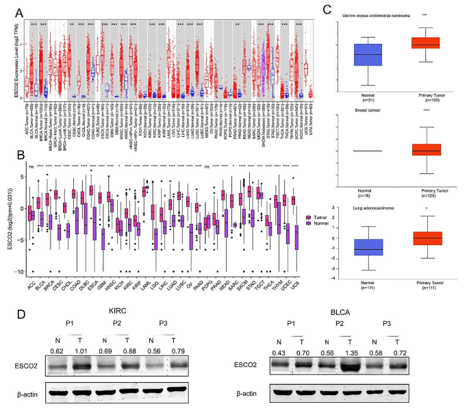 single case research experimental figure 1