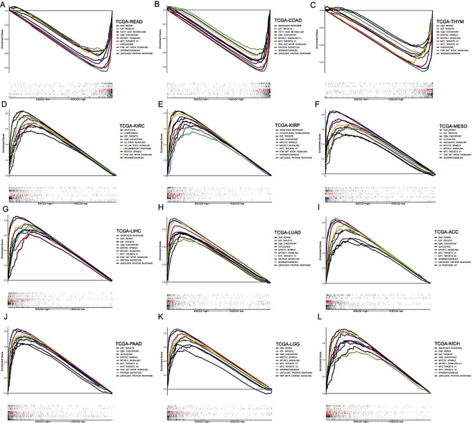 single case research experimental figure 4