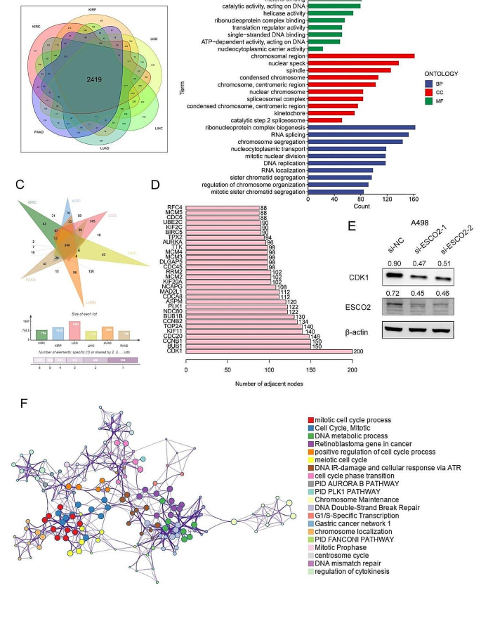 single case research experimental figure 5
