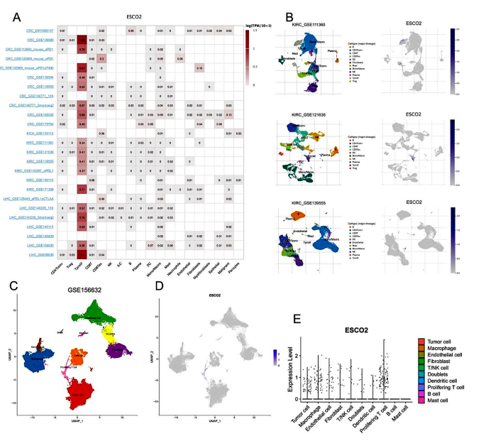 single case research experimental figure 6
