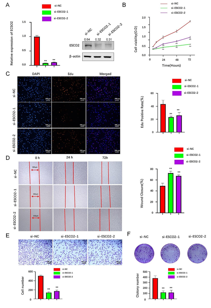 single case research experimental figure 7