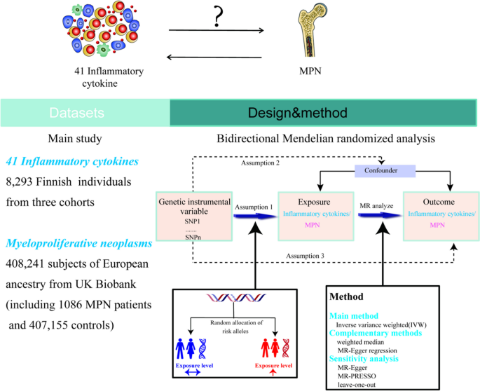 how to summarize findings in research figure 1