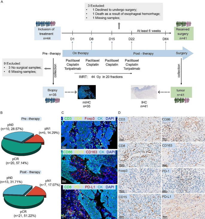 discussion pcr results figure 1