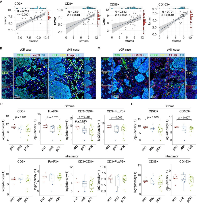 discussion pcr results figure 2