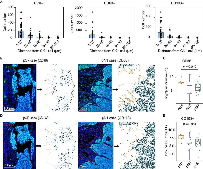 discussion pcr results figure 3