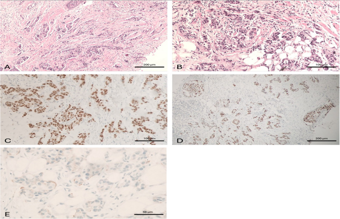 presentation interpretation and analysis of data figure 6