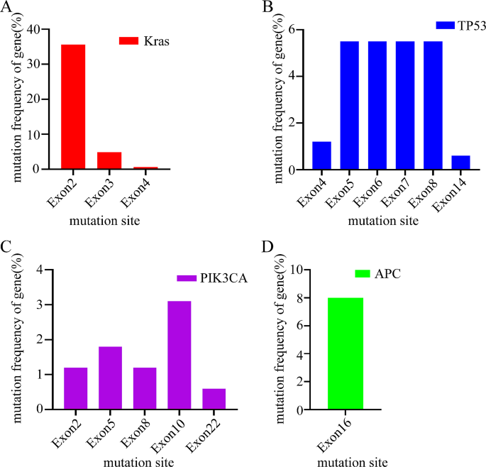Combined KRAS and TP53 mutation in patients with colorectal cancer ...