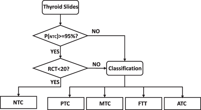 current research on thyroid cancer figure 6