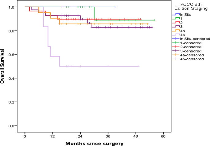 Depth of invasion and extranodal extension: the influential factors to ...