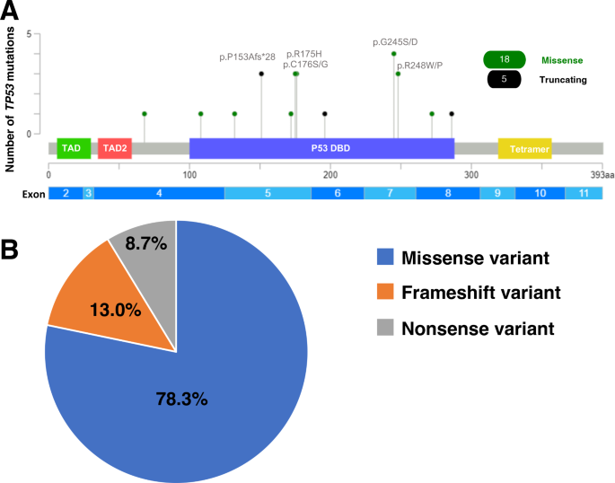 TP53 mutation status and consensus molecular subtypes of colorectal ...