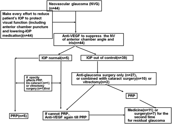 Anti Vegf Treatment Is The Key Strategy For Neovascular Glaucoma Management In The Short Term Bmc Ophthalmology Full Text