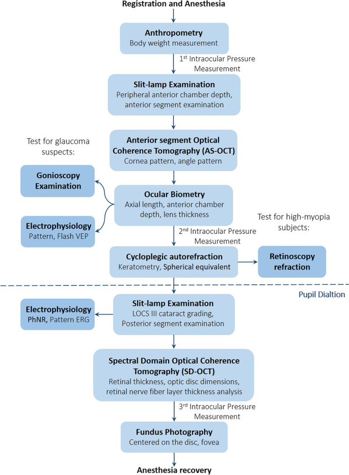 Design, methodology, and preliminary results of the non-human 
