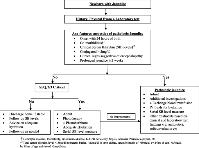 Clinical Evaluation Of Severe Neonatal Hyperbilirubinaemia In A Resource Limited Setting A 4 Year Longitudinal Study In South East Nigeria Bmc Pediatrics Full Text