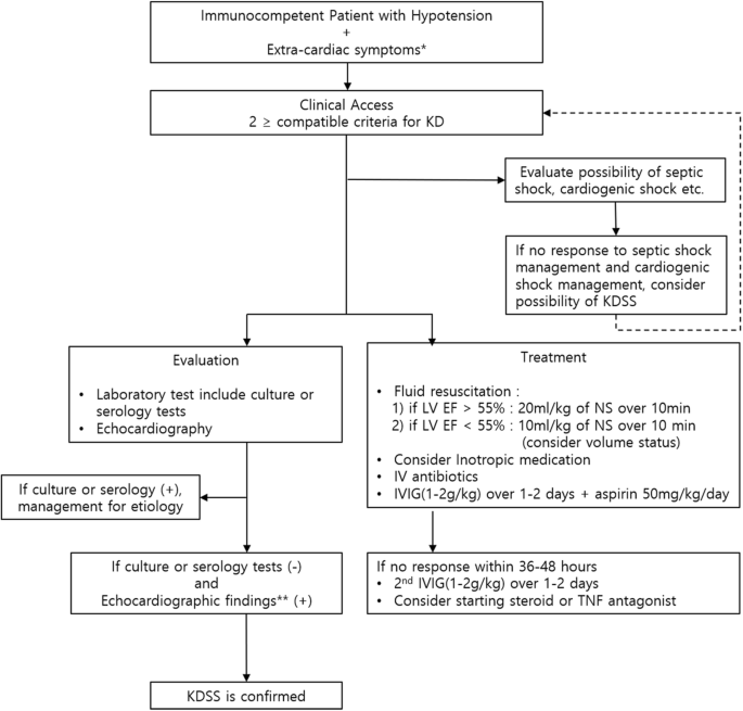 Clinical aspects for differential diagnosis of disease shock syndrome: a case control | BMC Pediatrics Text