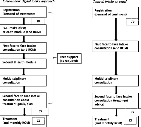 A digital intake approach in specialized mental health care: study protocol  of a cluster randomised controlled trial | BMC Psychiatry | Full Text