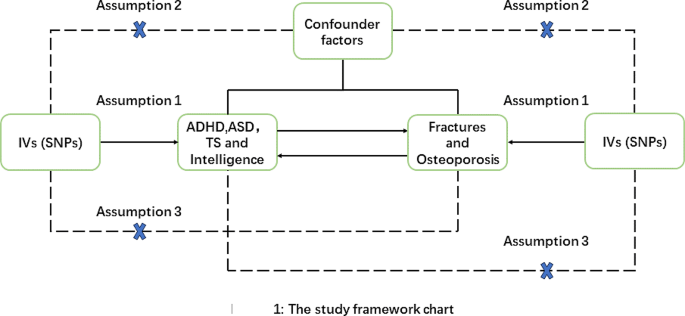 new research on osteoporosis figure 1