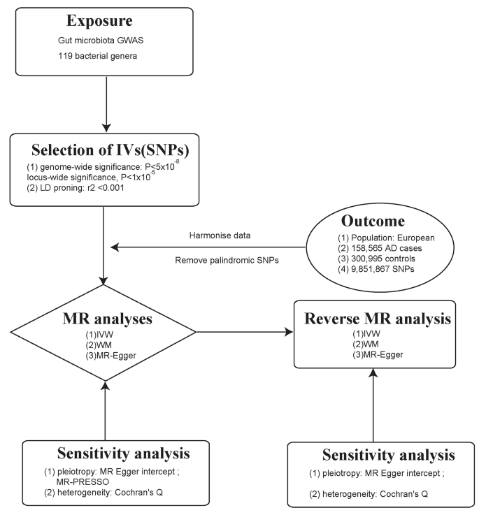 research paper using correlation analysis figure 1