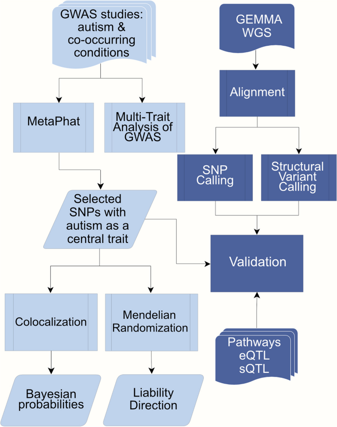 new autism research 2022 figure 1