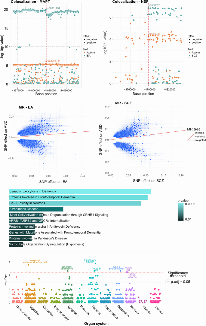 new autism research 2022 figure 2