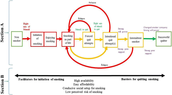 Experiences of young smokers in quitting smoking in twin cities of 