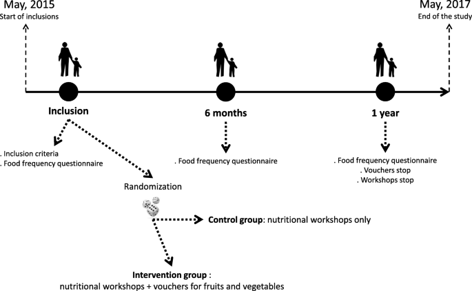 Fruits And Vegetables At Home Flam A Randomized Controlled Trial Of The Impact Of Fruits And Vegetables Vouchers In Children From Low Income Families In An Urban District Of France Bmc Public