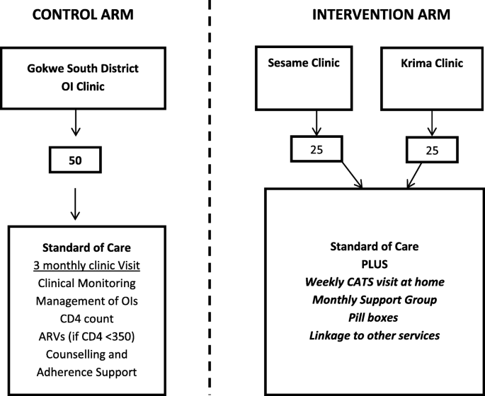 Effectiveness Of Community Adolescent Treatment Supporters Cats Interventions In Improving Linkage And Retention In Care Adherence To Art And Psychosocial Well Being A Randomised Trial Among Adolescents Living With Hiv In Rural Zimbabwe