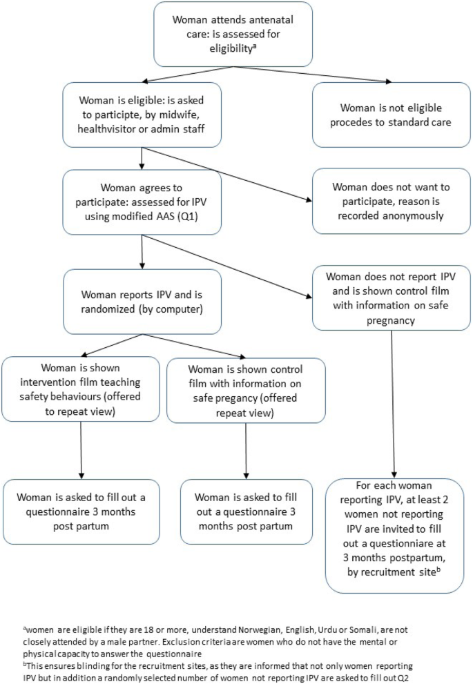 The Safe Pregnancy study - promoting safety behaviours in antenatal care  among Norwegian, Pakistani and Somali pregnant women: a study protocol for  a randomized controlled trial | BMC Public Health | Full Text