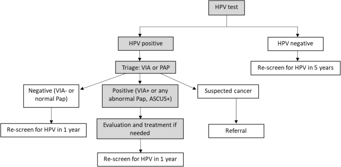 hpv human papillomavirus test positive