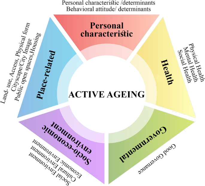 An Ecological Approach To The Development Of An Active Aging Measurement In  Urban Areas (Aamu) | Bmc Public Health | Full Text
