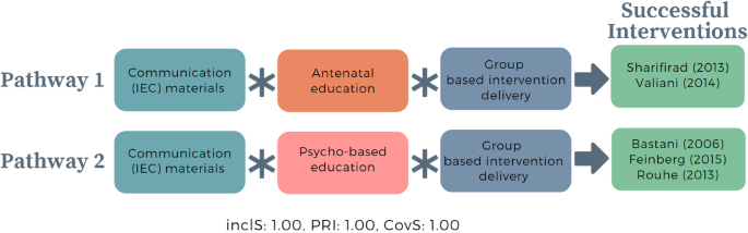qualitative case study data analysis figure 2